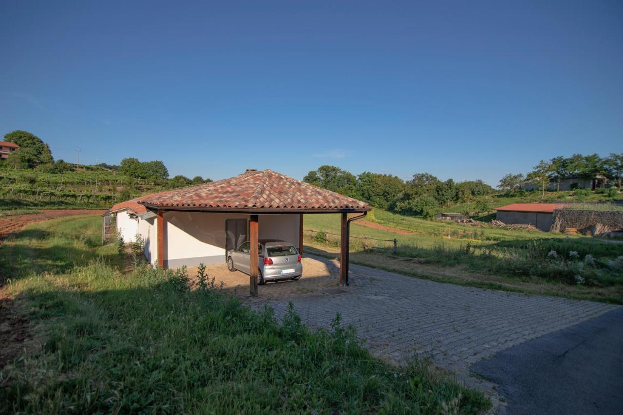 Apartment Ana - Karst Cycling Paradise Dutovlje Exterior photo